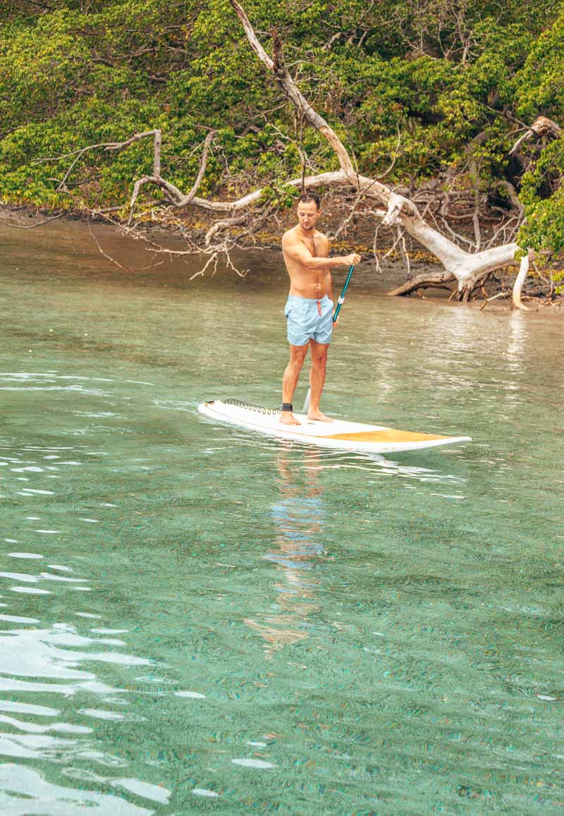 el mangroove costa rica paddle board