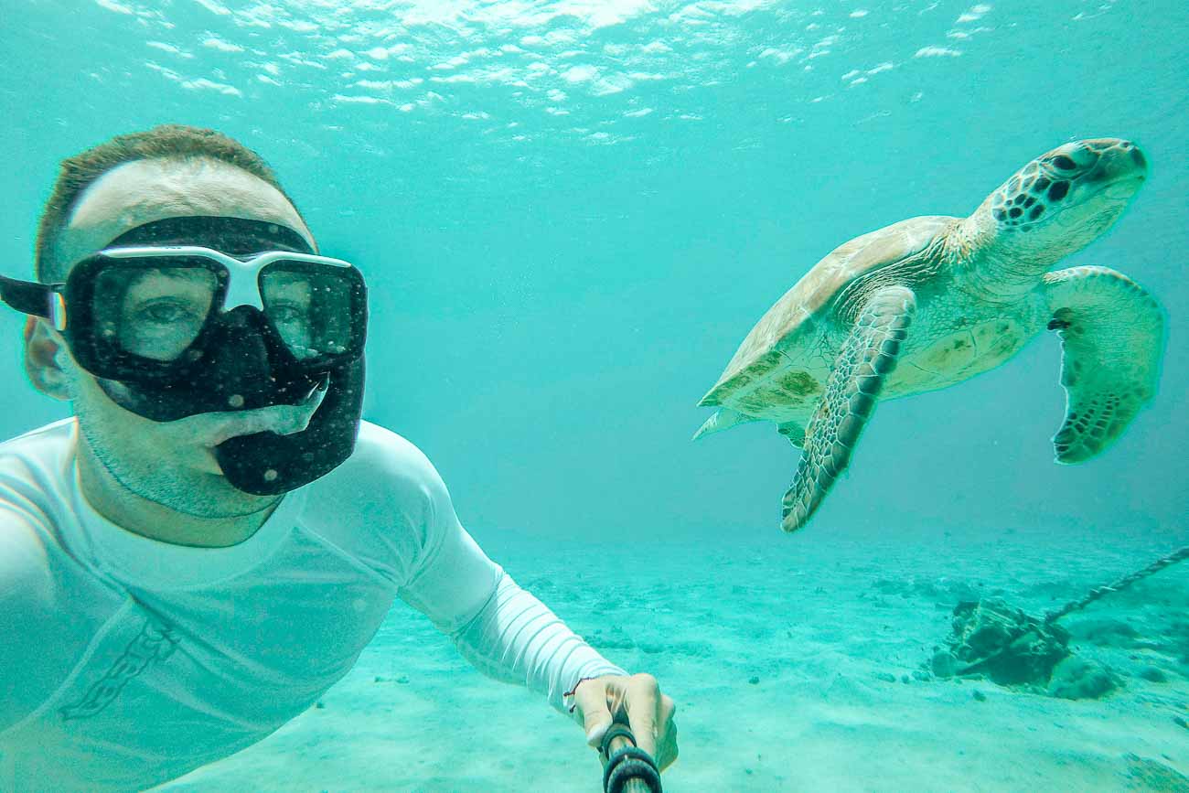 swim with turtles curacao