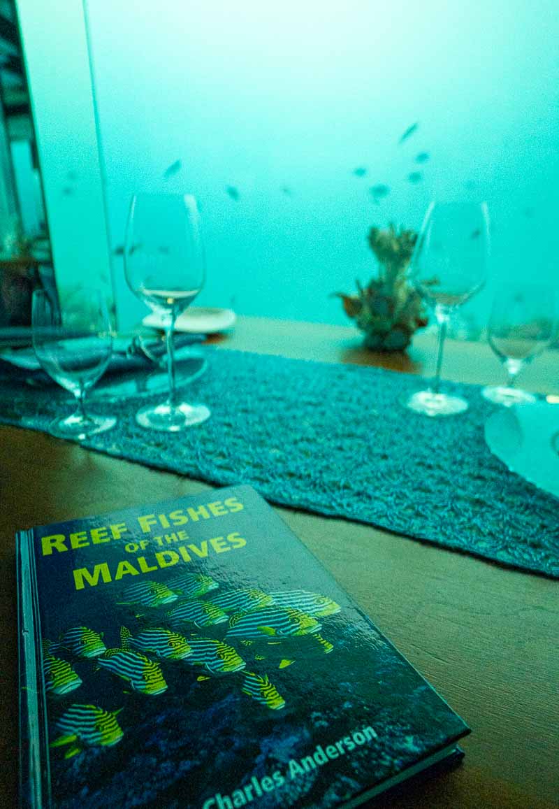 anantara kihavah maldives