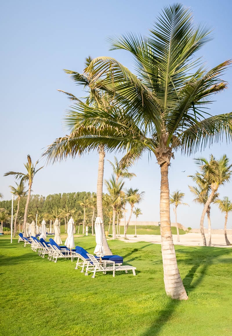 JA Palm Tree Court, The Resort